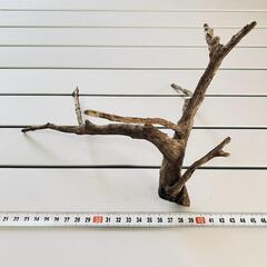 水槽用品 流木セットの画像