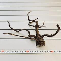 水槽用品 流木セットの画像