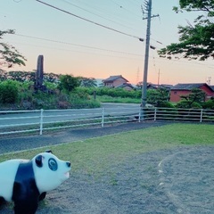 一緒にジムに通える方募集！
