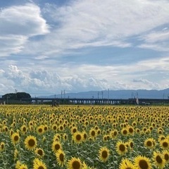 旅仲間募集！ - 豊田市