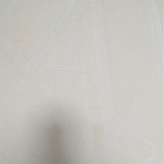 【無料】ラグ ラグマット はっ水 洗える カーペット 低反発 厚手 絨毯 ふかふか じゅうたん こたつ敷 ＜ホリデープラス/約190x300cm＞ の画像