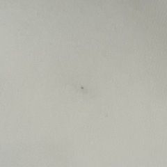 ★春用のセットアップ★ サイズＳ（決まりました）の画像