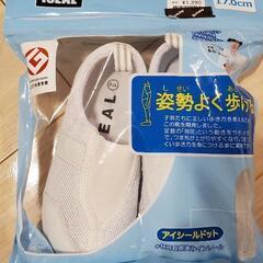 上履き