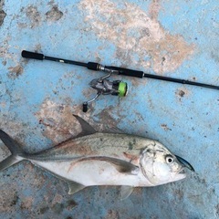 大阪での釣りを教えてください