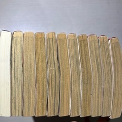 【決まりました】花にけだもの 全巻+小説セットの画像