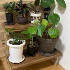 古材　木材　板材　DIYに！の画像