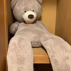 コストコ？くまのぬいぐるみ