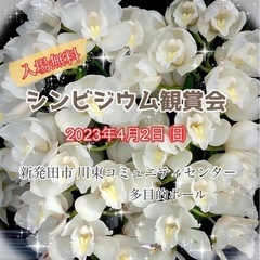 4/2(日)【シンビジウム観賞会】入場無料！洋蘭を観にきま…