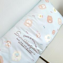 【新品】すみっコぐらし 超ロングクッション 水色の画像