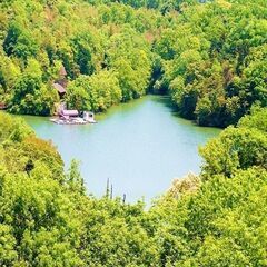 ◆山口県🏔ナチュラルグリーンパークホテル宿泊ご優待券🎫◆の画像