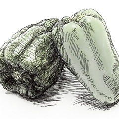 お絵描き友達募集