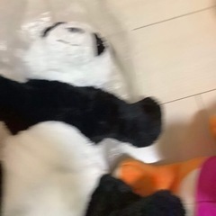 ぬいぐるみの画像