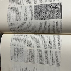 世界名曲  クラッシック集の画像