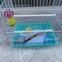 小鳥用の鳥かご(残りひとつ)の画像