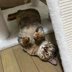 10ヶ月　甘えん坊の女の子