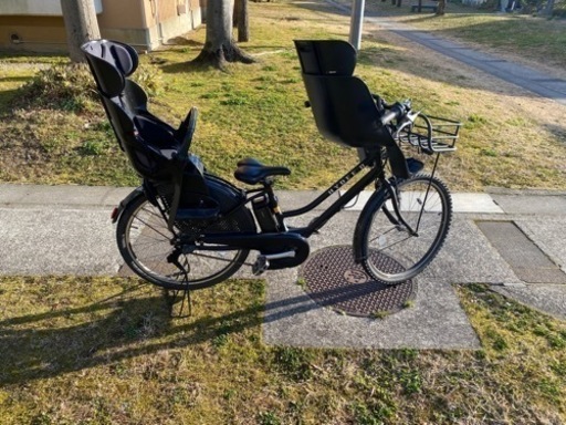 3/19まで！３人乗り電動自転車HYDEE II (花園団地)