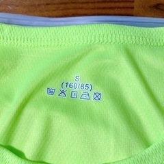 Tシャツ　3色　セットの画像