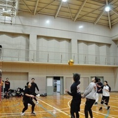 ARCOBALENO 平日バレーボール