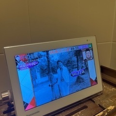 Panasonic ポータブルテレビ