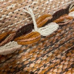 アジアンキリムラグの画像