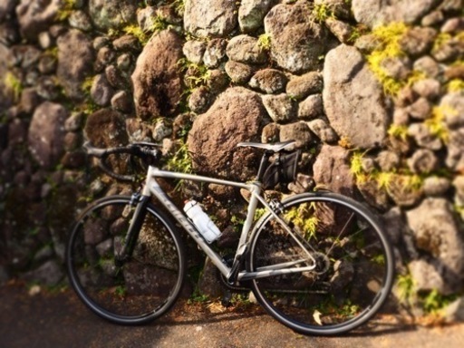 自転車 GIANT TCR SLR1 2017