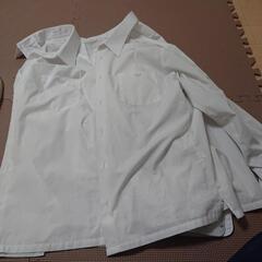 滝学園(高校・中学)男子長袖シャツ(２着)の画像