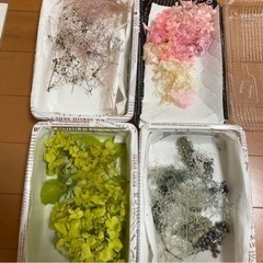 ハーバリウムセットの画像