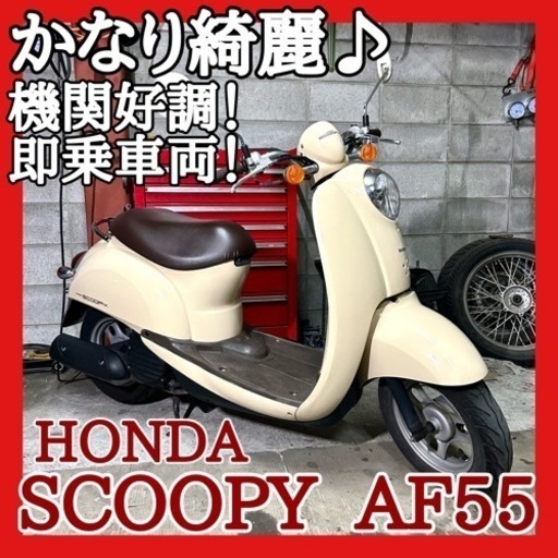 ☆安心の点検整備.動画☆ホンダ スクーピー AF55☆めちゃ綺麗でお気に入りの１台に間違い無し！好調エンジンで新生活を！