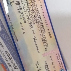 HY SKYフェス　3.18(土) １枚