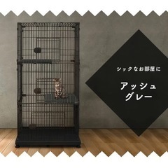 猫ゲージ