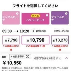 仙台発✈️新千歳空港行きpeachチケット受託荷物１個込みの画像