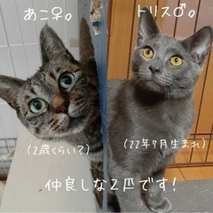 仲良しの二人です