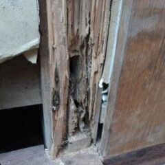 不動産業者・個人でもシロアリ相談をお引き受けしております。　修理...