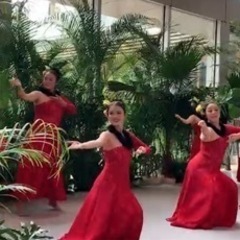 【戸塚フラダンス】ワヒネクラス 無料体験受付中！お仕事帰りにフラレッスンの画像