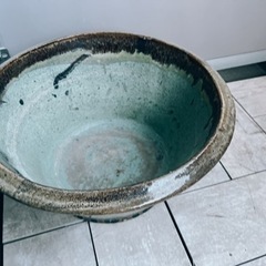 【決まりました】睡蓮鉢