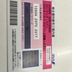 ANA株主優待券2023年5月末まで