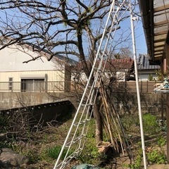 【取引決定】業務用三脚脚立　園芸用