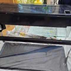 水槽2つ売りますの画像