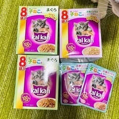 子猫用のウェットフードをお譲りします