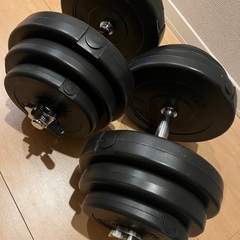 リオレス　ダンベル　20キロ　2個