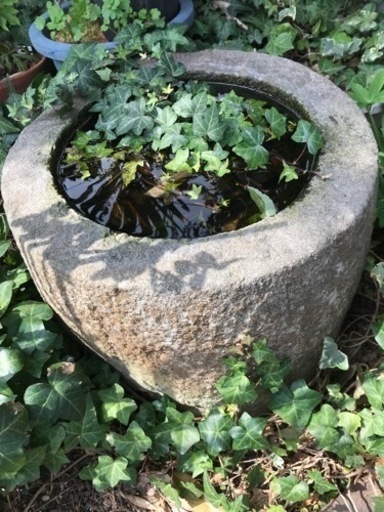 石臼 つくばい みかげ石