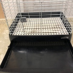 小動物　ゲージ　ハムスター　うさぎの画像