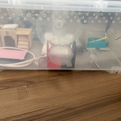 ハムスター飼育セット