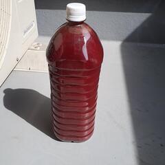 メダカや熱帯魚に。PSB(光合成細菌)