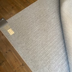 ナショナルホットカーペットの画像