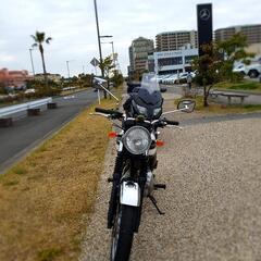カワサキ エストレヤ 2009 FI インジェクション 硬派なメタリックグリーン 中古 1万6千キロの画像