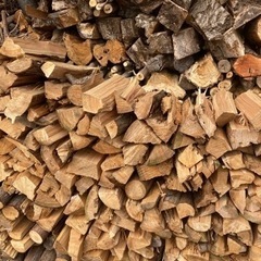 残り僅か　キャンプ・バーベキュー用乾燥薪20kg