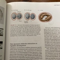 発生学　学術書　Developmental Biology 生物学　大学　教科書の画像
