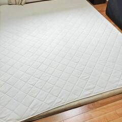 早いもの勝ち★極厚ラグとカバー！