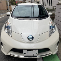 30kWh G エアロスタイル （パールホワイト）全方位カメラ ...